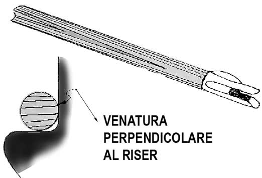 orientamento venatura